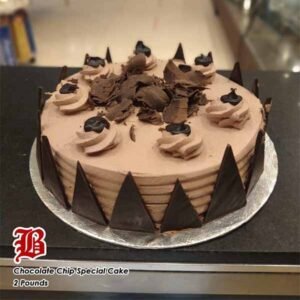 Chocolate Chip Cake 2