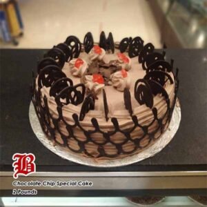 Chocolate Chip Special Cake